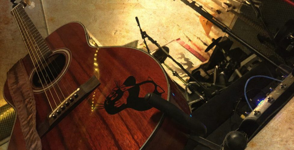 Takamine 03